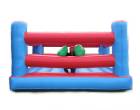 Bouncy Boxing