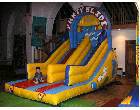 Party Slide